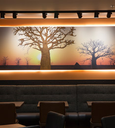 outback_restaurant_small_thumb